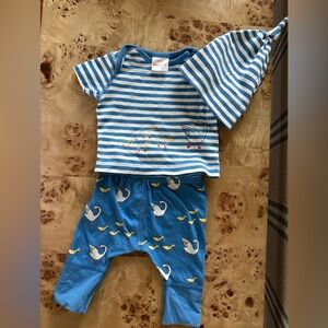 Hanna Andersson Blue Striped goose / duck newborn outfit with hat